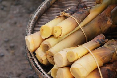 Tatlı bambu markette yemek pişirmek için ateş