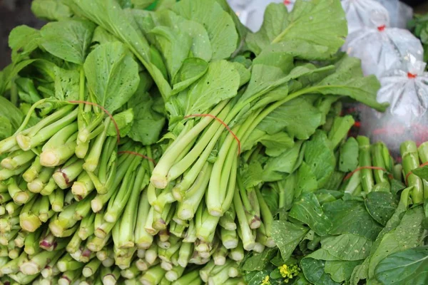 Fresh choy for cooking in the market — Stock Photo, Image