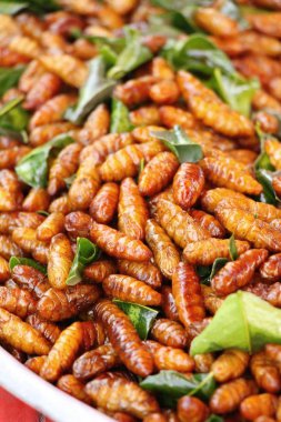 Fried ipek solucanlar sokak gıda lezzetli