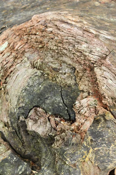 Eski ahşap güzellik duvar arka plan ve doku