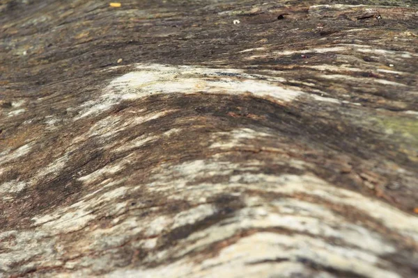 Vieux mur de beauté en bois fond et texture — Photo