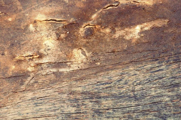 Staré dřevěné krásy stěna pozadí a textury — Stock fotografie