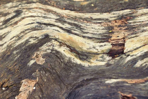 Vieux mur de beauté en bois fond et texture — Photo