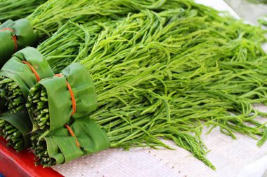 Akasya pennata belgili tanımlık çarşı içinde yemek pişirmek için