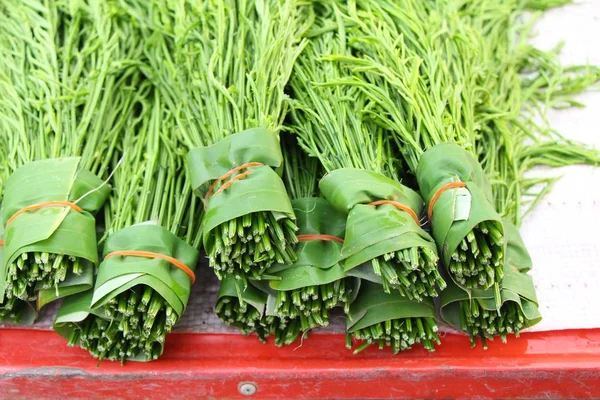 Acacia pennata para cocinar en el mercado — Foto de Stock