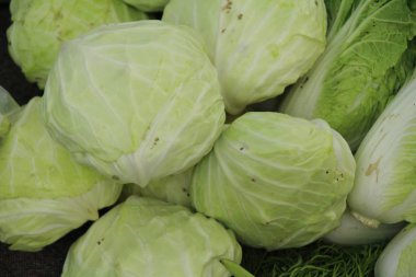 içinde belgili tanımlık çarşı baş lahana