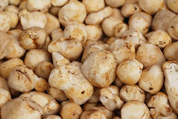 Belgili tanımlık çarşı içinde yemek pişirmek için taze mantar