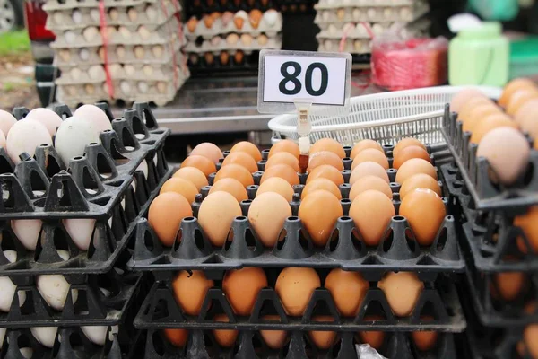 Piyasada panelinde yumurta