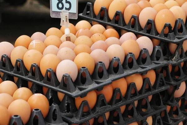 Piyasada panelinde yumurta