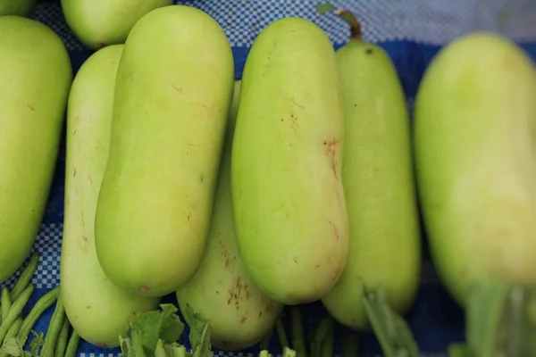 Melone invernale per cucinare nel mercato — Foto Stock