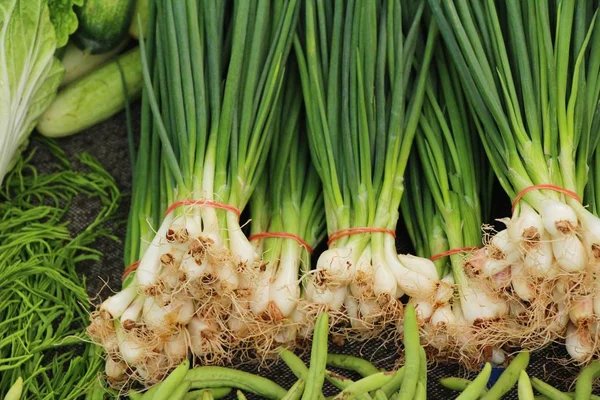 İçinde belgili tanımlık çarşı taze soğan