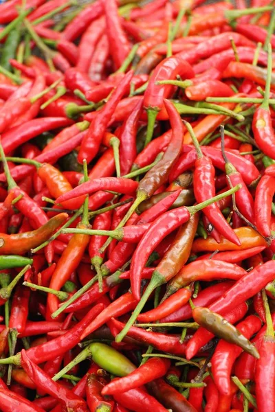 Fresh chilli for cooking in the marke — Stock Photo, Image