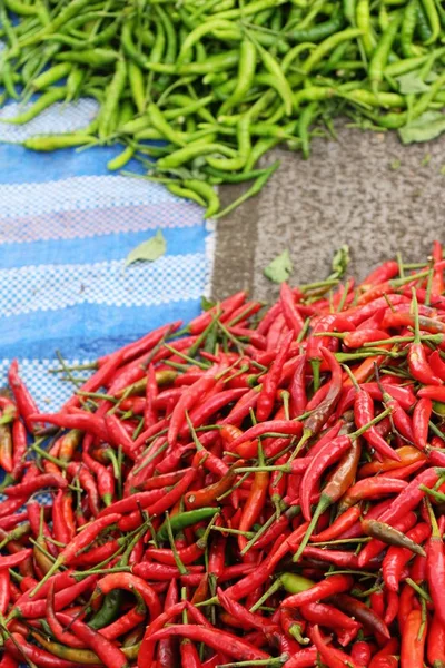 Fresh chilli for cooking in the marke — Stock Photo, Image