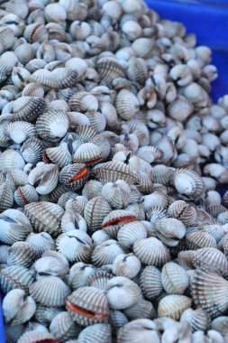 belgili tanımlık çarşı içinde yemek pişirmek için taze cockle