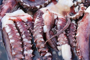 belgili tanımlık çarşı içinde yemek pişirmek için taze kalamar