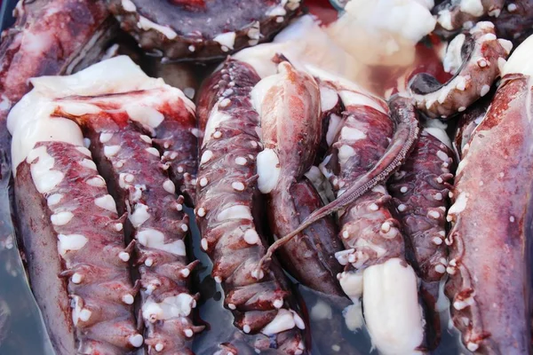 belgili tanımlık çarşı içinde yemek pişirmek için taze kalamar