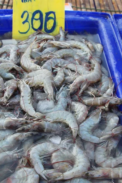 Pazarda taze karides