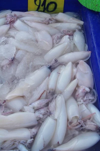 Свежий кальмар для приготовления пищи на рынке — стоковое фото