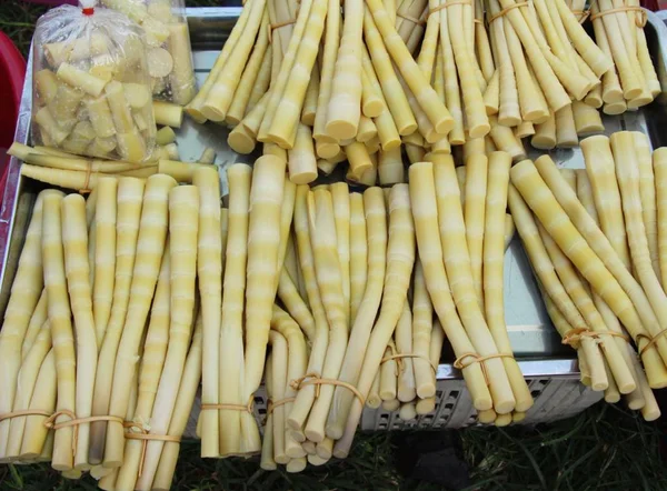 Süße Bambussprossen zum Kochen auf dem Markt — Stockfoto