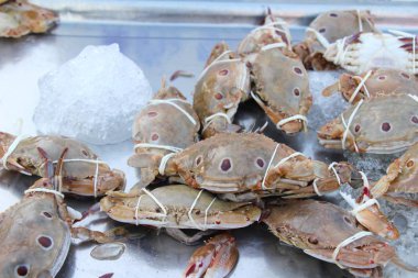 Belgili tanımlık çarşı içinde yemek pişirmek için taze Yengeç