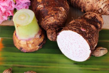 Yemek pişirmek için taze taro kök