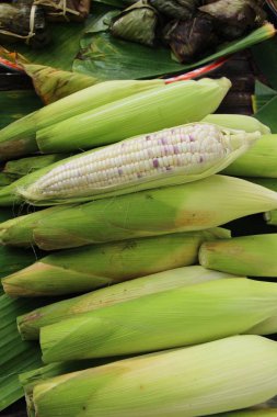 Belgili tanımlık çarşı içinde yemek pişirmek için taze Mısır