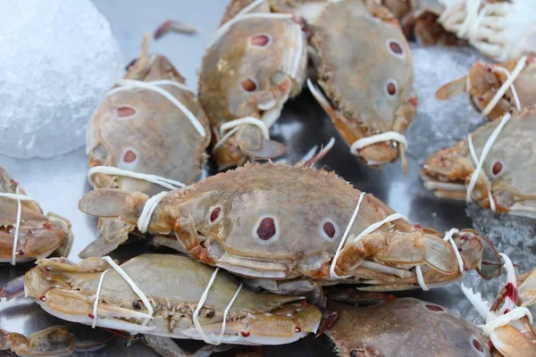 Kepiting segar untuk memasak di pasar — Stok Foto