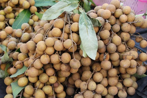 Čerstvé longan je lahodné, thajské ovoce — Stock fotografie