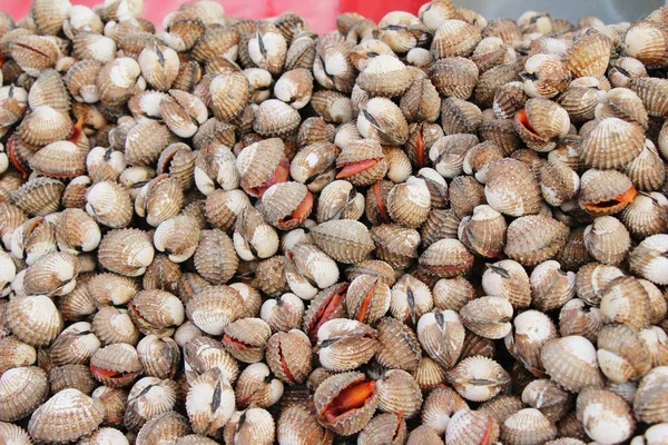 belgili tanımlık çarşı içinde yemek pişirmek için taze cockle