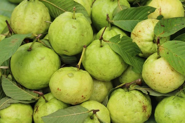 guava meyve Pazar