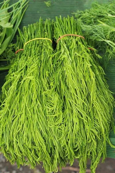 Acacia pennata for cooking in the market — Stock Photo, Image