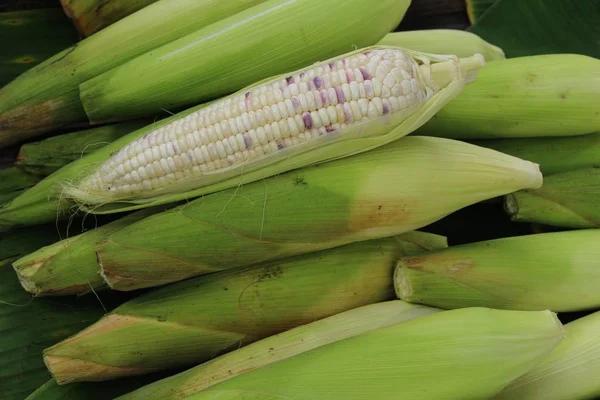 Frisches Mais zum Kochen auf dem Markt — Stockfoto