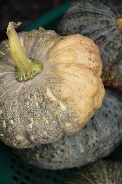 Belgili tanımlık çarşı içinde yemek pişirmek için taze kabak