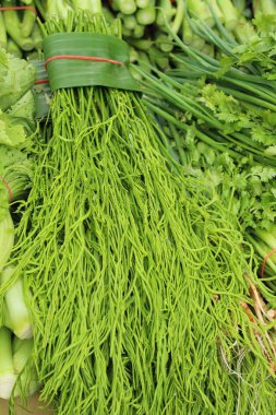 Akasya pennata belgili tanımlık çarşı içinde yemek pişirmek için