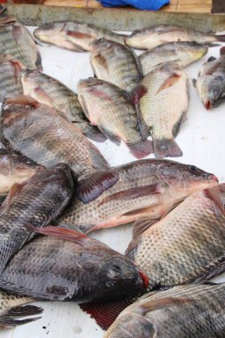 Belgili tanımlık çarşı içinde yemek pişirmek için taze balık