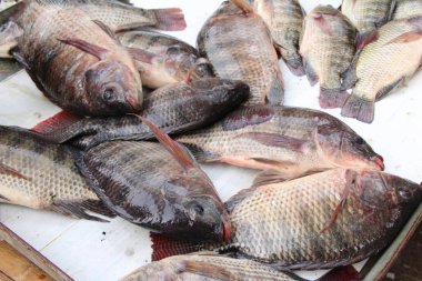 Belgili tanımlık çarşı içinde yemek pişirmek için taze balık