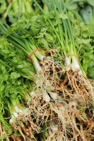 Spring onion and coriander in the market