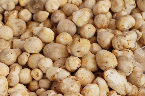 Belgili tanımlık çarşı içinde yemek pişirmek için taze mantar