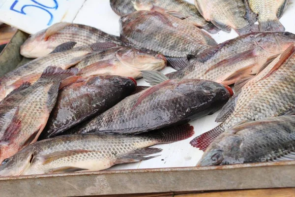 Färsk fisk för matlagning på marknaden — Stockfoto