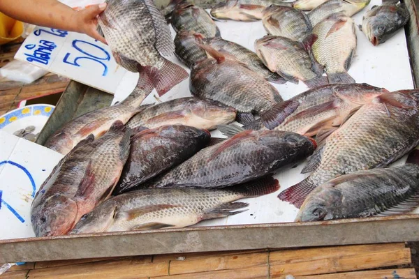 Färsk fisk för matlagning på marknaden — Stockfoto
