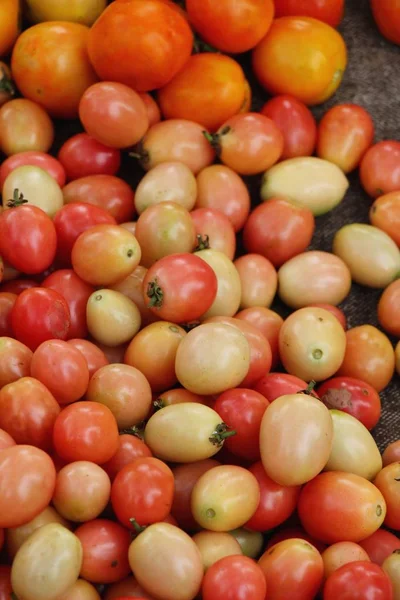 Fresh tomatoes for cooking in street food — Stock Photo, Image