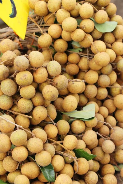 Frischer Longan ist köstlich, thailändische Früchte — Stockfoto