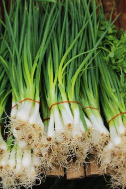 İçinde belgili tanımlık çarşı taze soğan