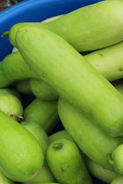 Melone invernale per cucinare nel mercato — Foto Stock