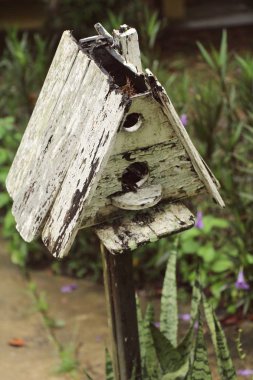 doğa ile ahşap kuş evi