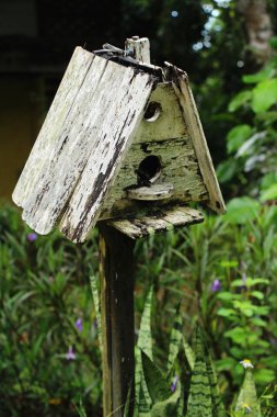 doğa ile ahşap kuş evi