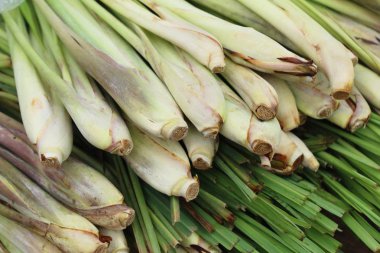 Taze limon otu içinde belgili tanımlık çarşı