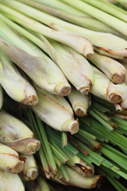 Taze limon otu içinde belgili tanımlık çarşı