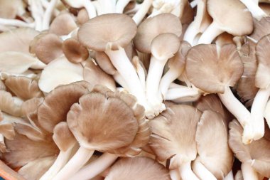 Belgili tanımlık çarşı içinde yemek pişirmek için taze mantar