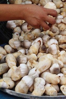 Belgili tanımlık çarşı içinde yemek pişirmek için taze mantar